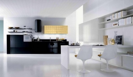 Svart kök på bakgrunden av vita väggar kommer att locka fans av futurism i design