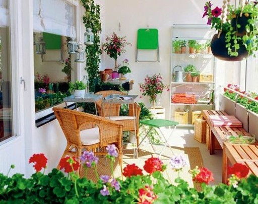 It's a great idea to organize a winter garden on the balcony