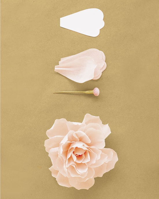 Peony from corrugated paper