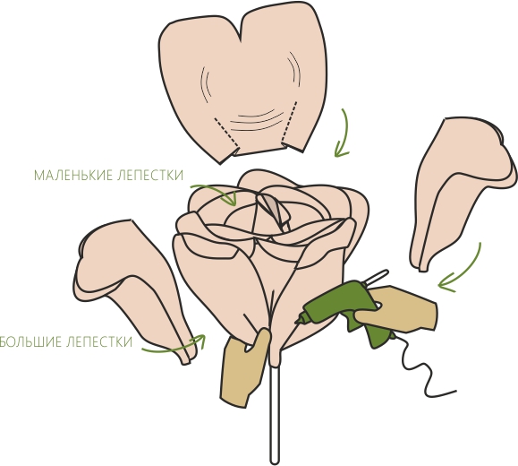 Rose bud formation