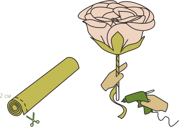 The stem of a large rose