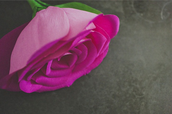 Large Rose of Corrugated Paper