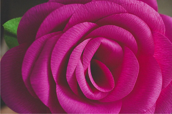 Large Rose of Corrugated Paper